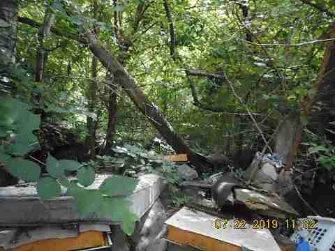 9926 Bordeau (7)_m.jpg